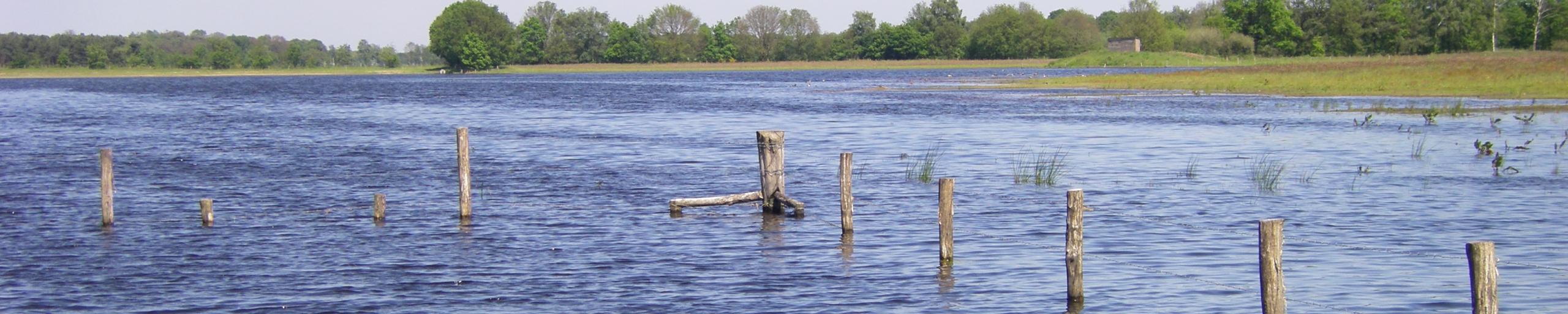 Dit is een foto van een lokale waterplas.